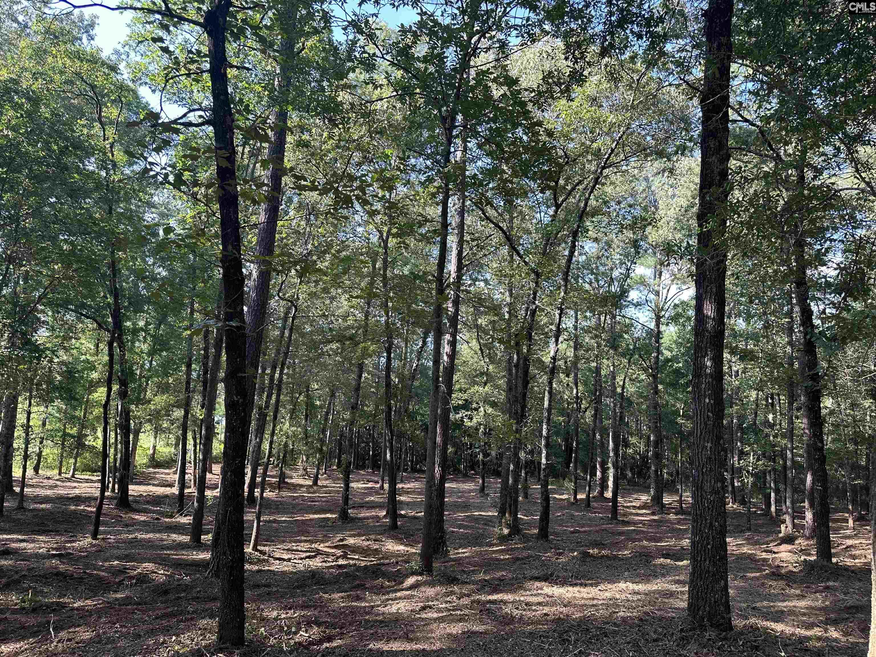 Lot 39 Edisto Lake Road Wagener, SC 29164 - Photo 3 of 11