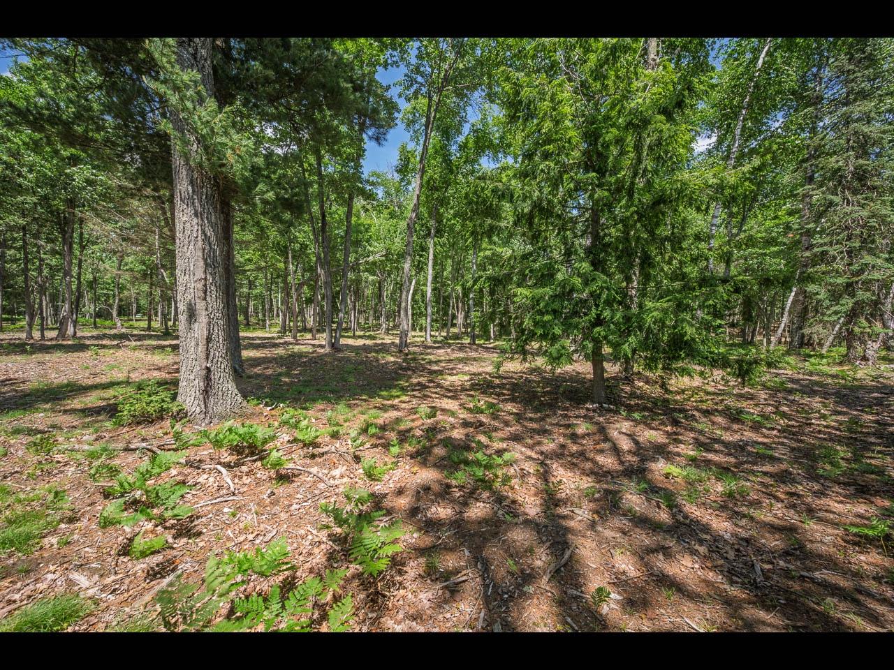 Lot 141 Kindling Point Eagle River, WI 54521 - Photo 7 of 19 Gallery Image 7