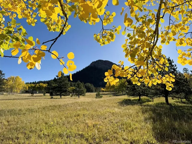a view of a big yard with table and chairs under an umbrella