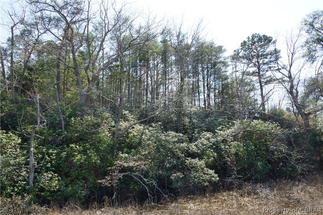0 Spring Cove Lane Topping, VA 23169 - Photo 3 of 9