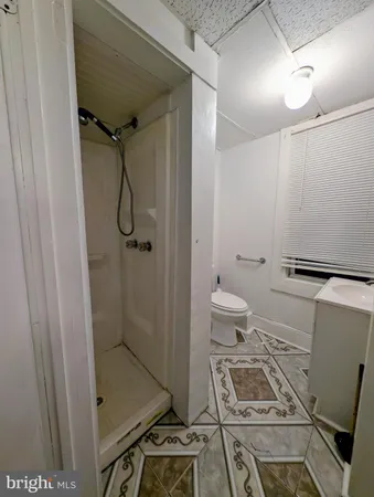 a bathroom with a shower and a toilet