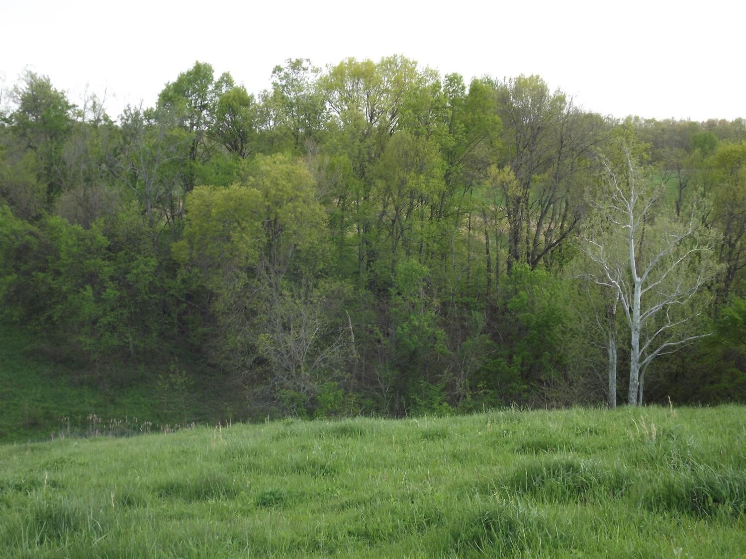 5000 Battle Road Mackville, KY 40040 - Photo 24 of 35 Photo 24