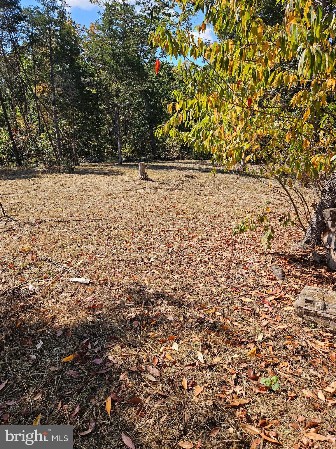 Hill Climb Road Stanley, VA 22851 - Photo 15 of 24
