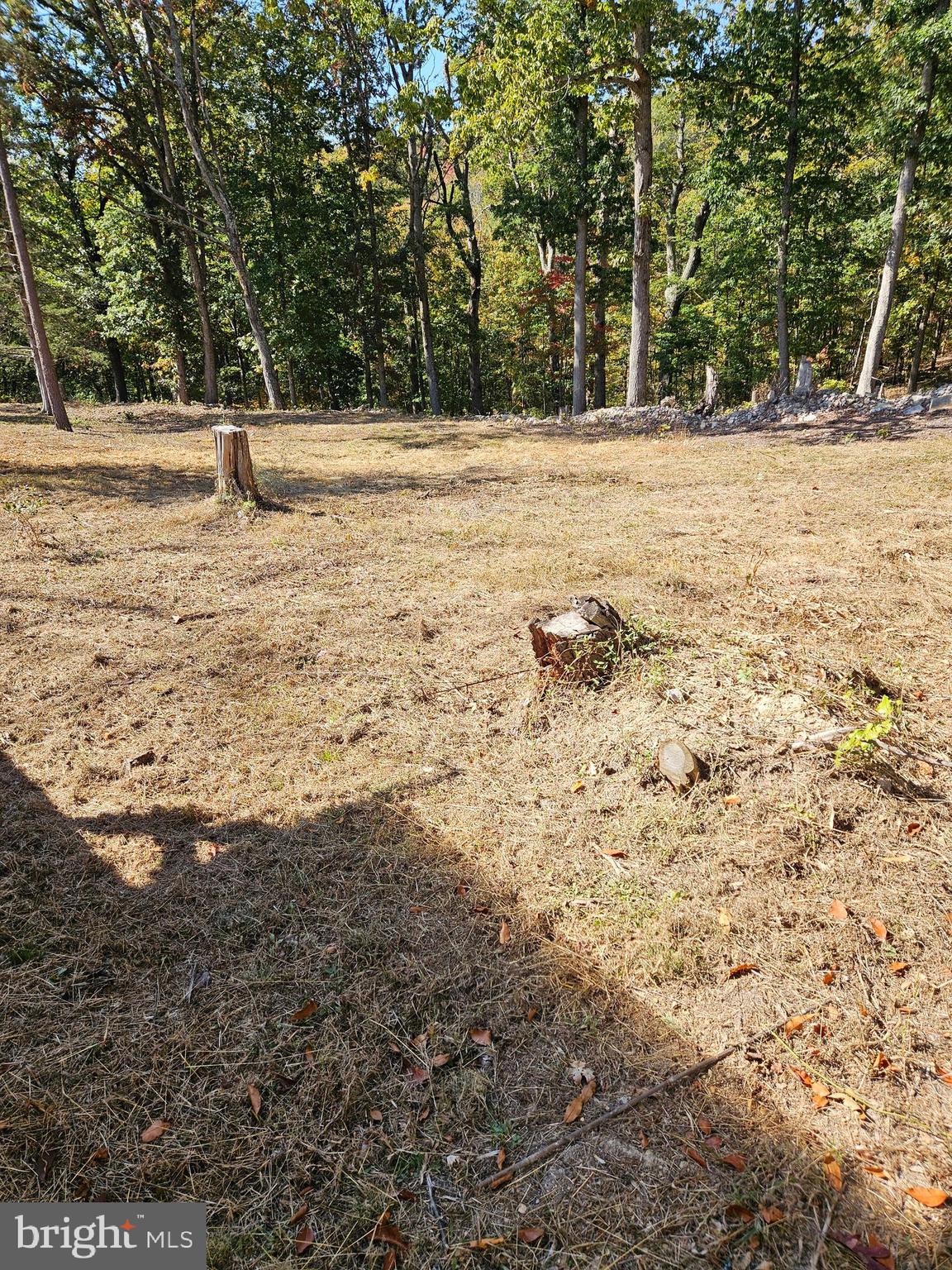 Hill Climb Road Stanley, VA 22851 - Photo 16 of 24