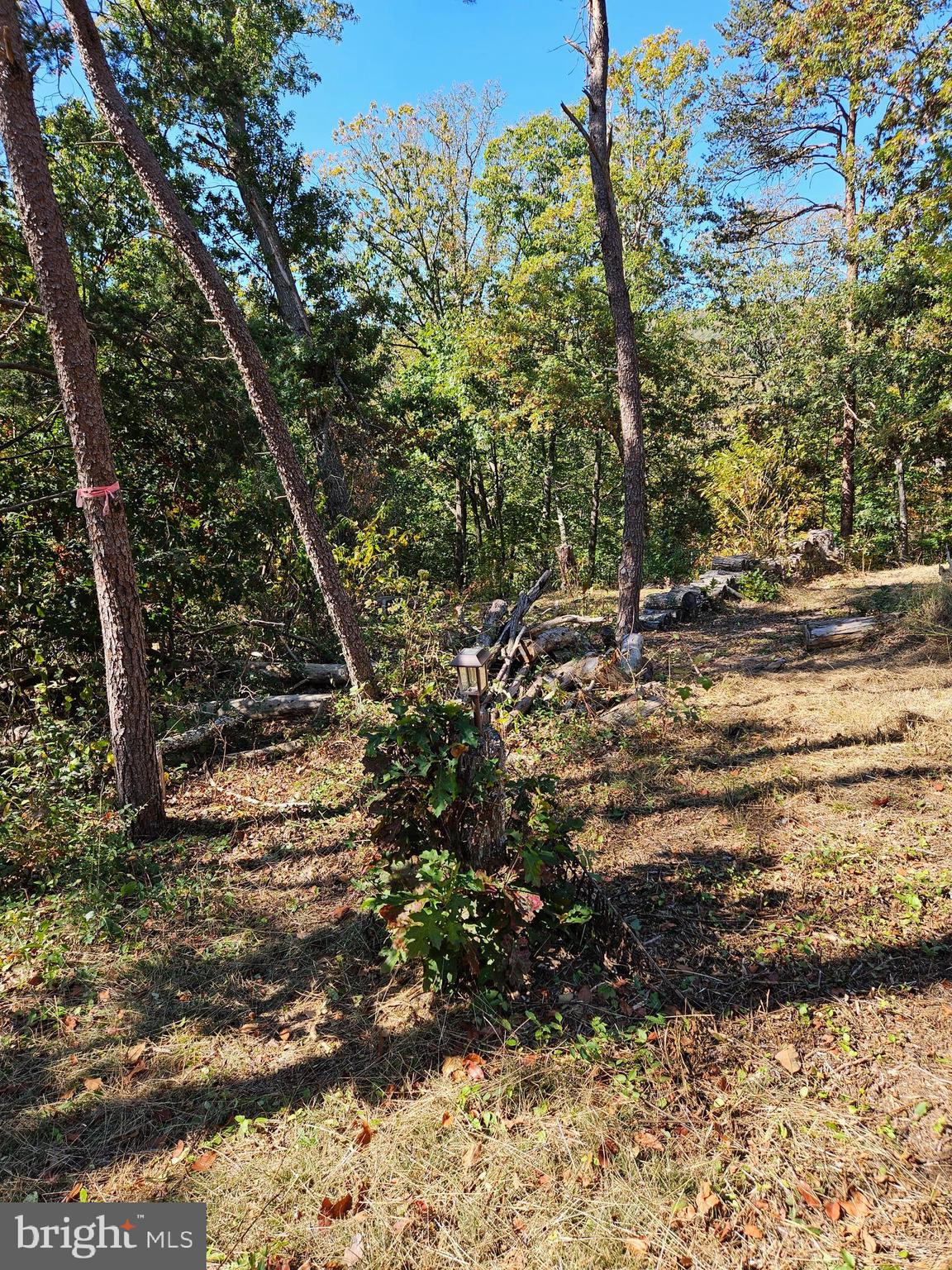 Hill Climb Road Stanley, VA 22851 - Photo 18 of 24