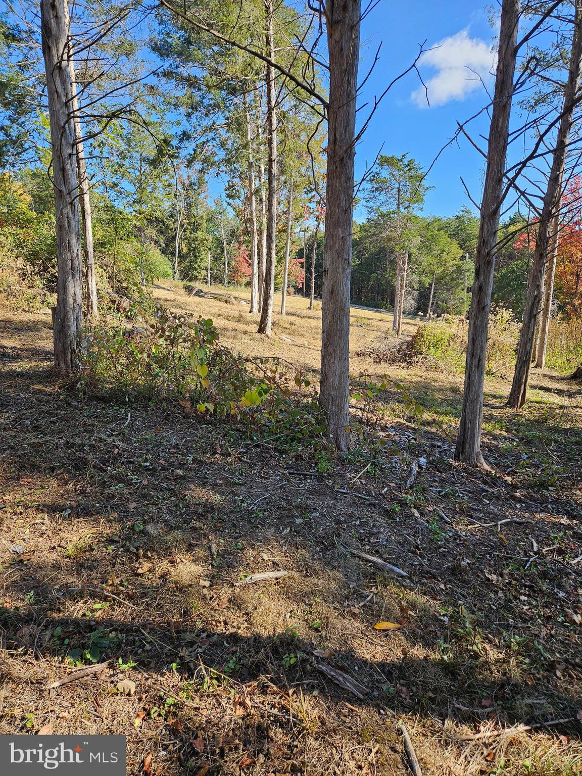 Hill Climb Road Stanley, VA 22851 - Photo 19 of 24
