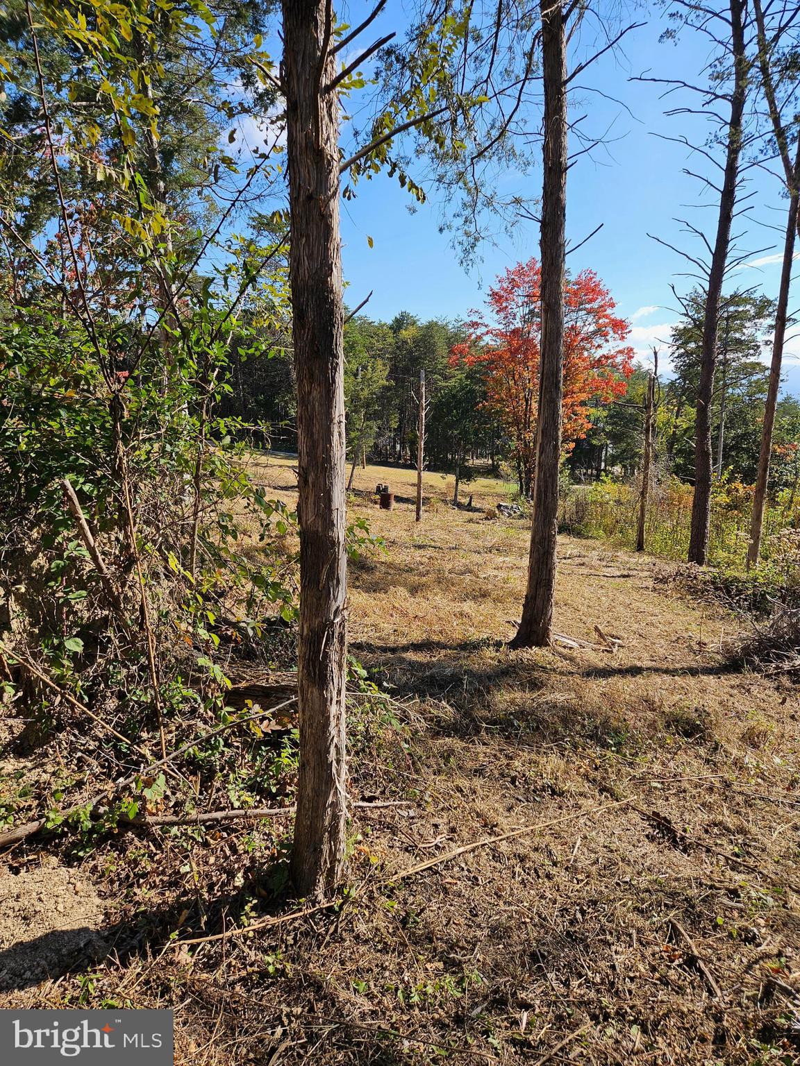 Hill Climb Road Stanley, VA 22851 - Photo 20 of 24