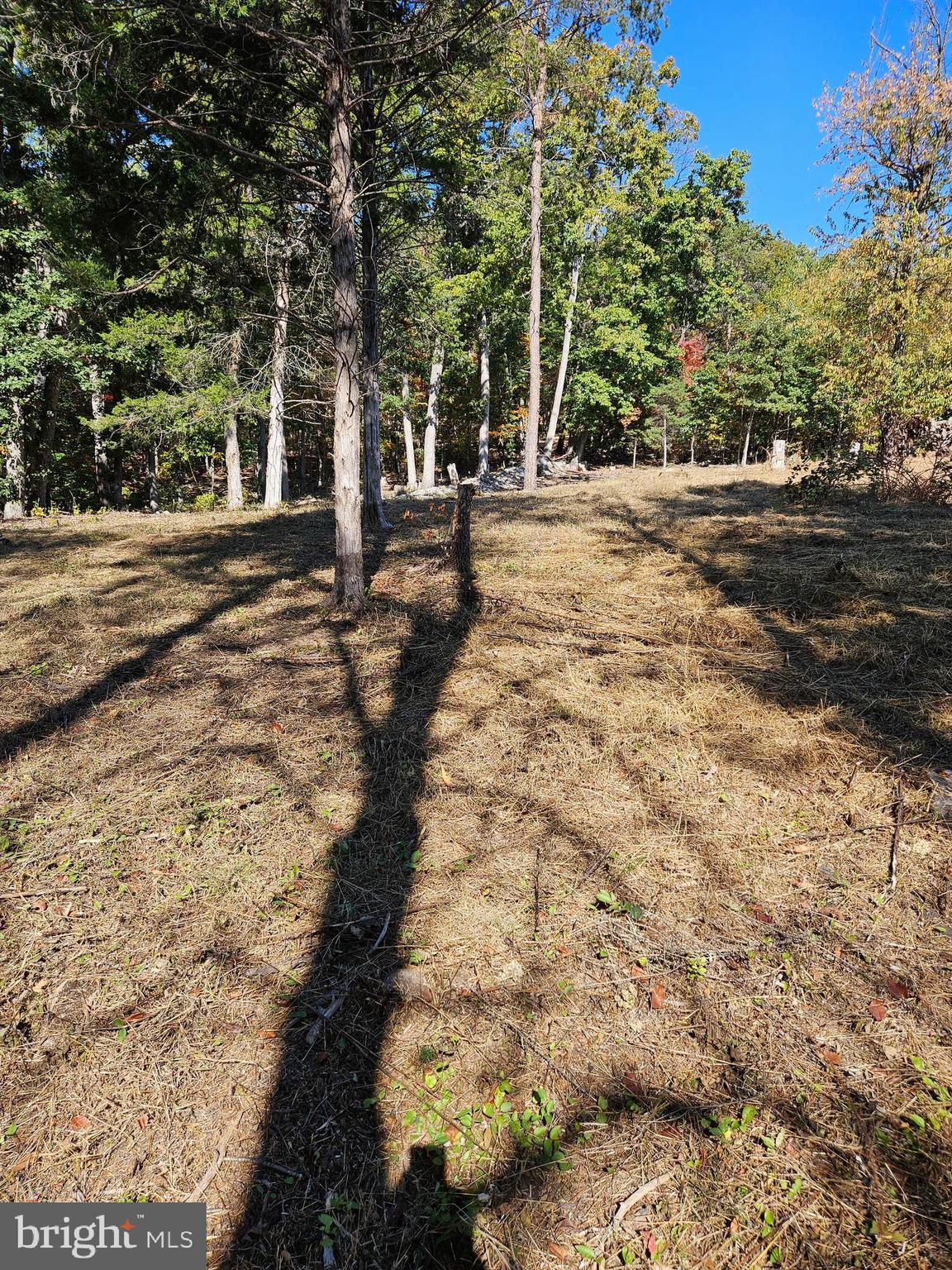 Hill Climb Road Stanley, VA 22851 - Photo 21 of 24