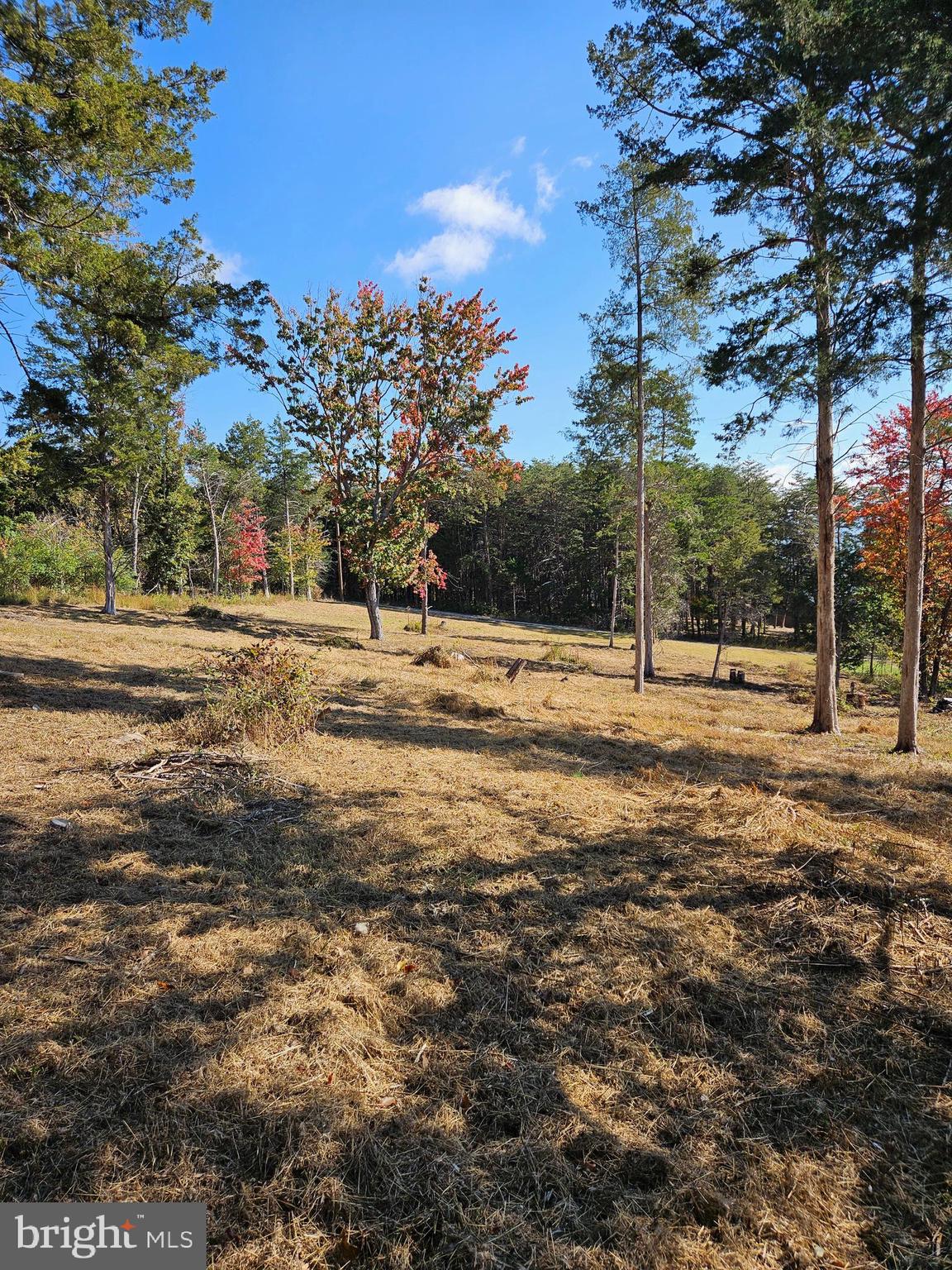 Hill Climb Road Stanley, VA 22851 - Photo 22 of 24