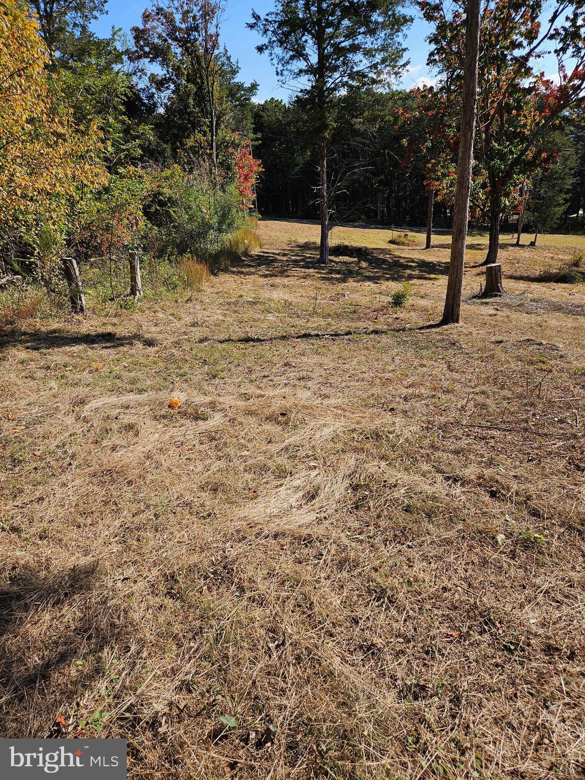 Hill Climb Road Stanley, VA 22851 - Photo 24 of 24