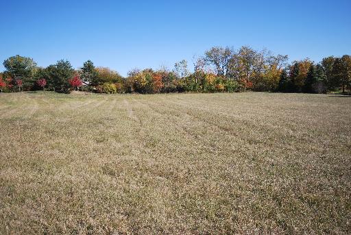 Lot 25 Hunters Gate Rd Street St. Charles, IL 60175 - Photo 1 of 4 a view of a field with trees in the background