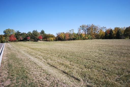 Lot 25 Hunters Gate Rd Street St. Charles, IL 60175 - Photo 2 of 4 a view of a field with trees in background