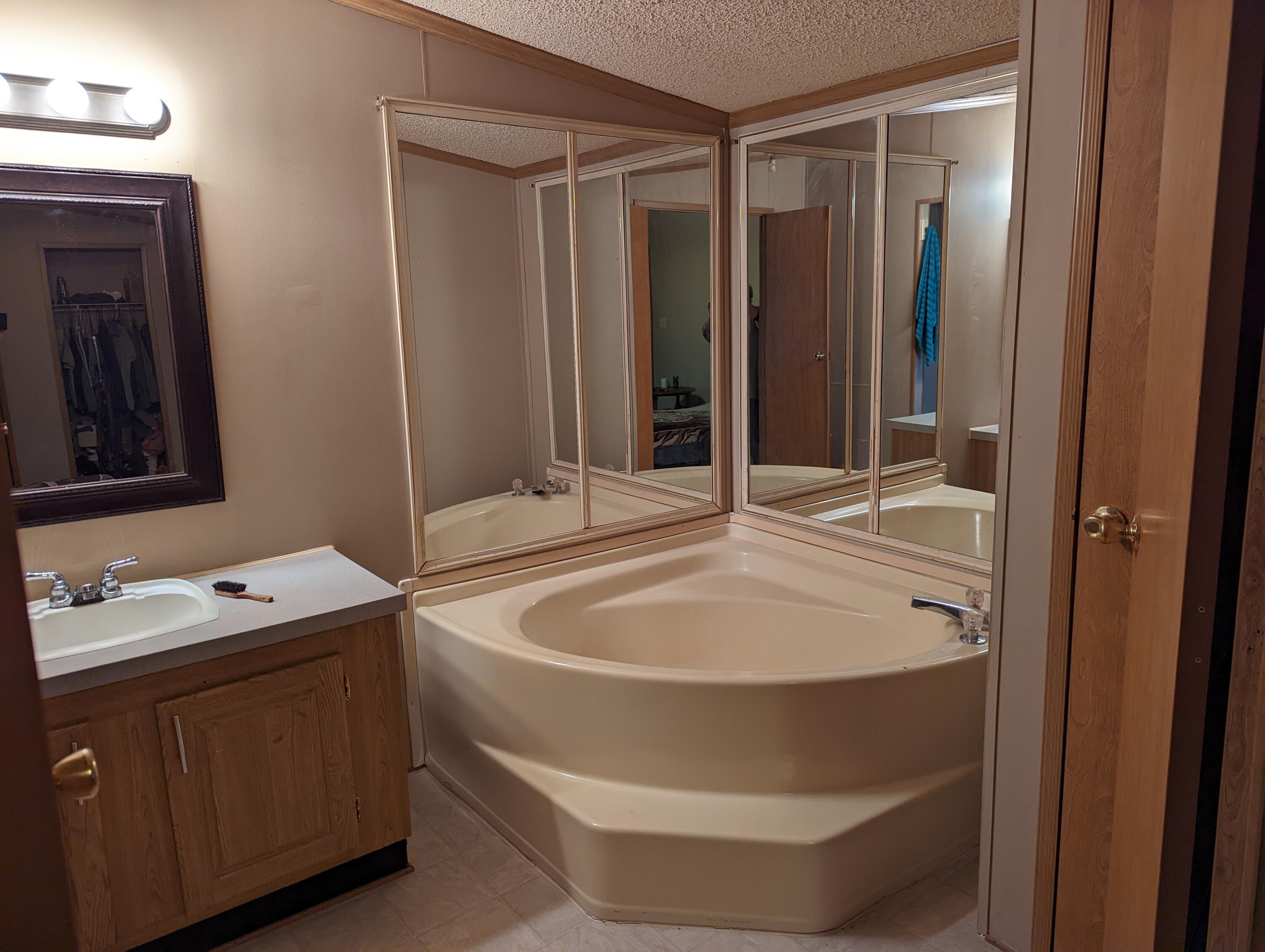 2925 Heeney Road Stockbridge, MI 49285 - Photo 12 of 12 masterbath