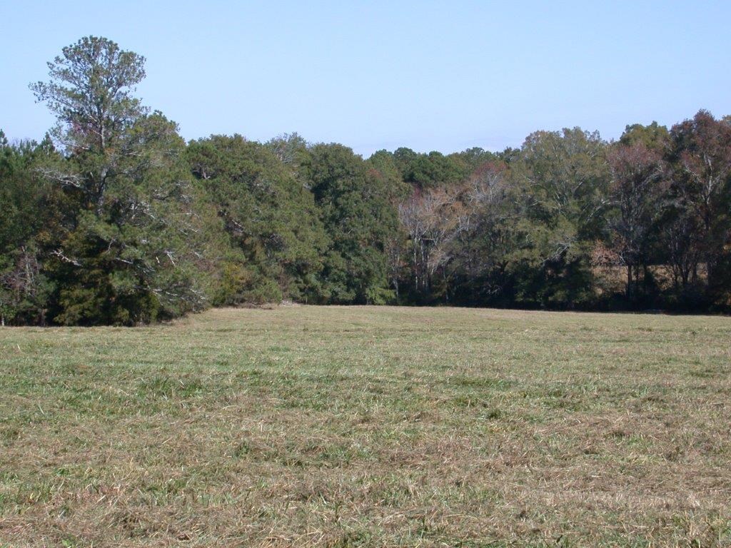 - Larkin Rice Road Saluda, SC 29138 - Photo 18 of 70