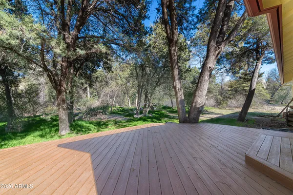 a view of a dry yard with trees