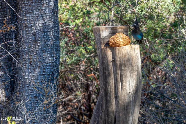 $500,000 | 52162 East Black Jack Road, Miami, AZ 85539