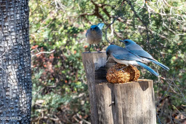 $500,000 | 52162 East Black Jack Road, Miami, AZ 85539