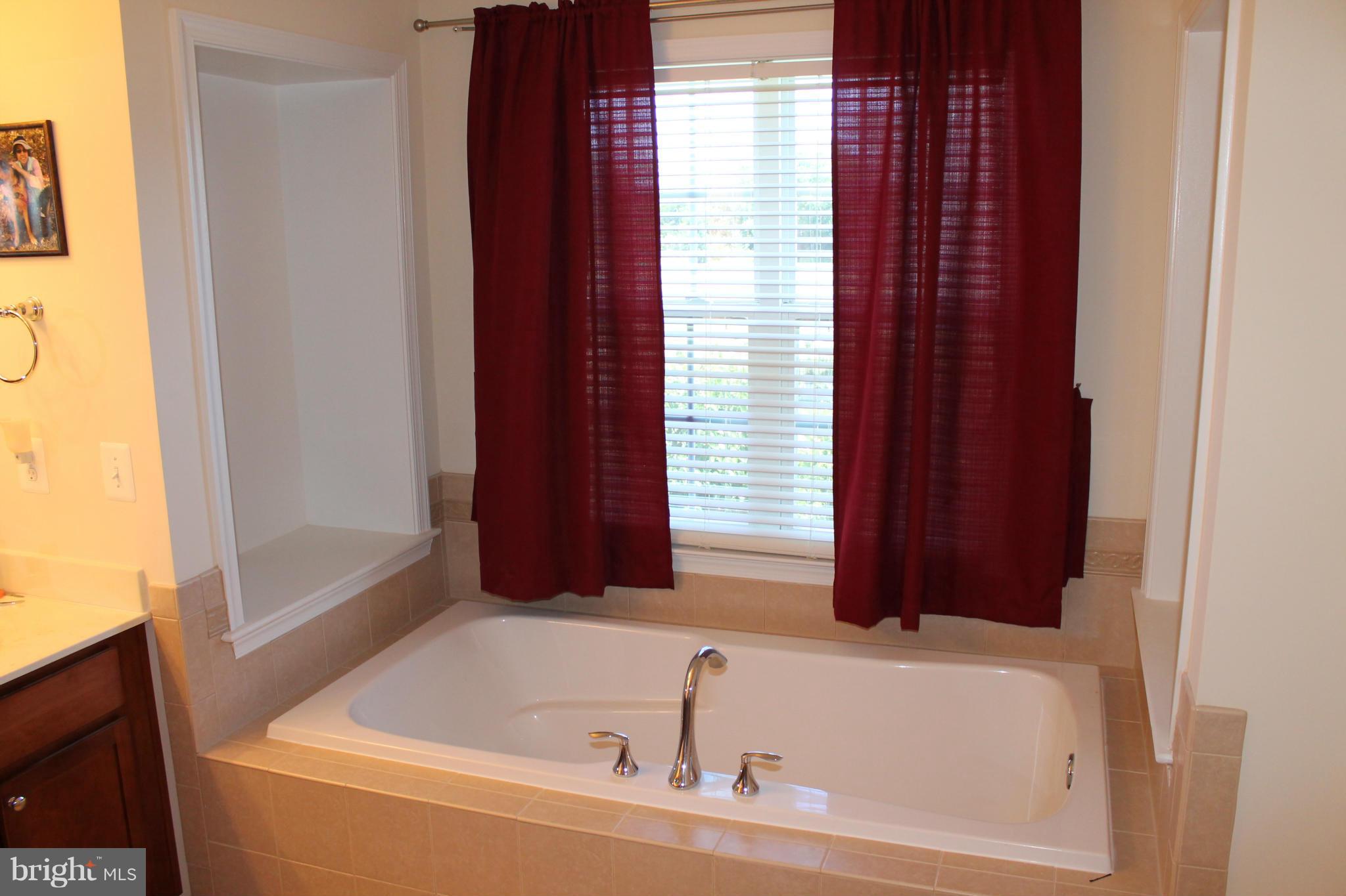 156 Standpipe Road Culpeper, VA 22701 - Photo 24 of 30 Bath (Master)
