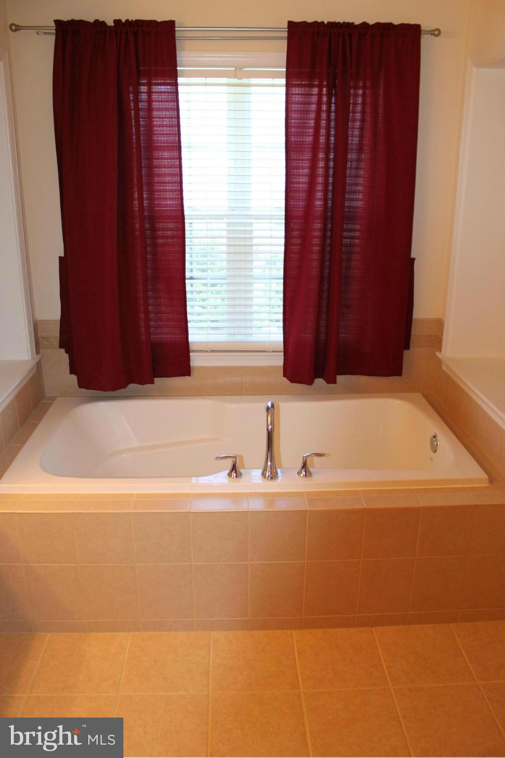 156 Standpipe Road Culpeper, VA 22701 - Photo 25 of 30 Bath (Master)