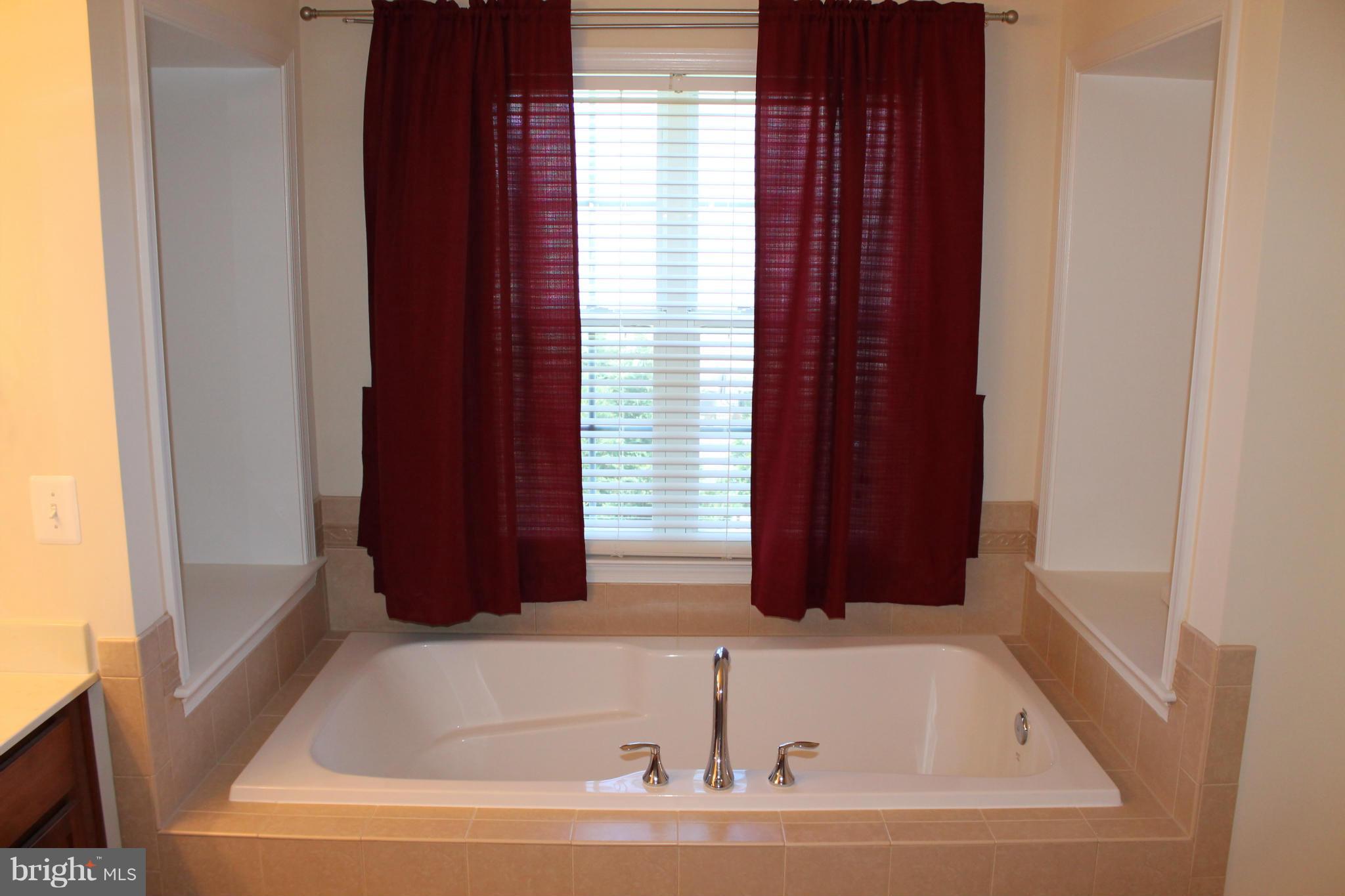 156 Standpipe Road Culpeper, VA 22701 - Photo 26 of 30 Bath (Master)