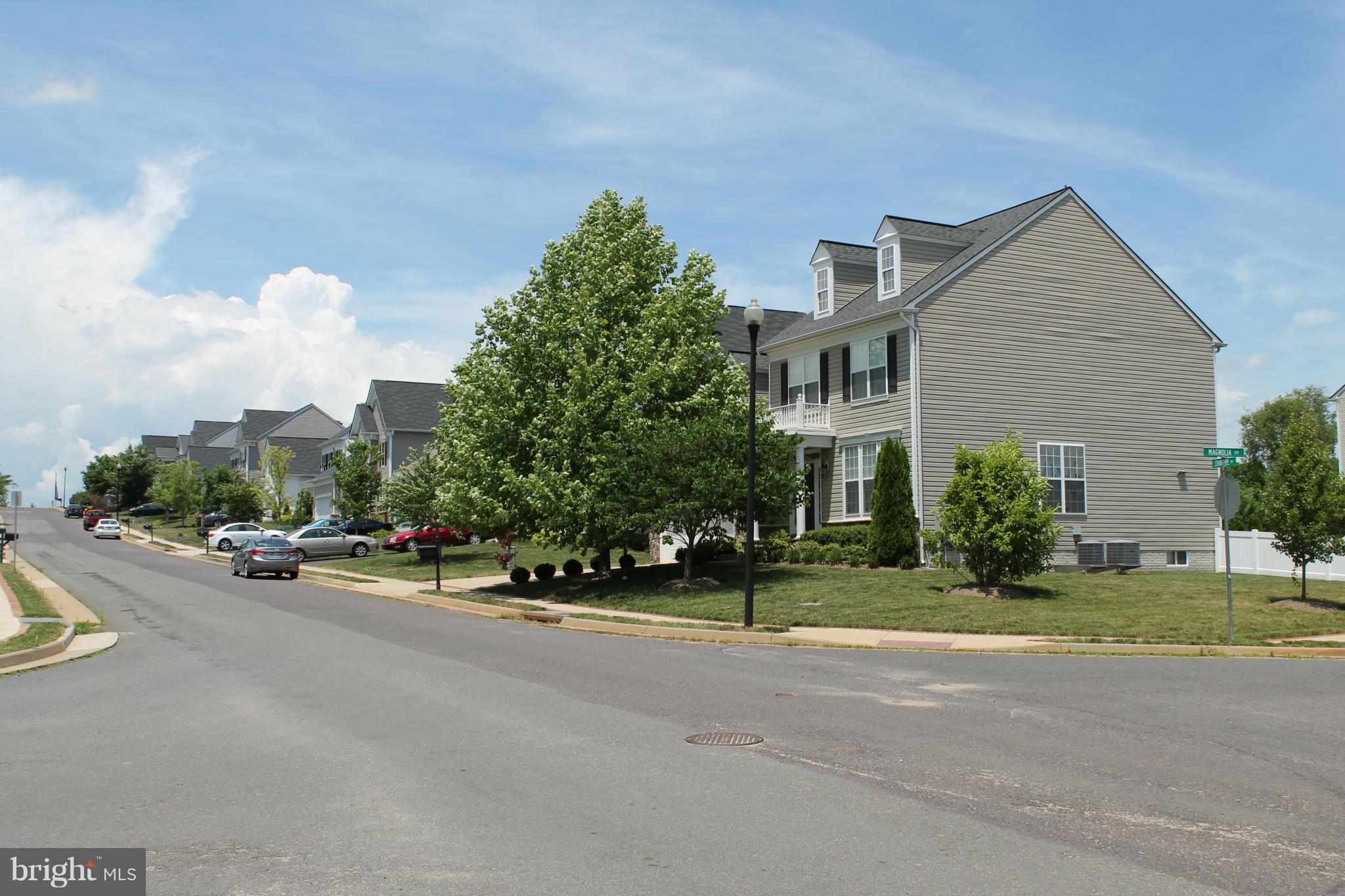 156 Standpipe Road Culpeper, VA 22701 - Photo 30 of 30 Community