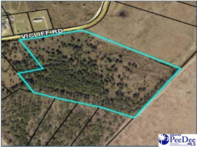 Vicliff Road Darlington, SC 29532 - Photo 1 of 1 Gallery Image 1