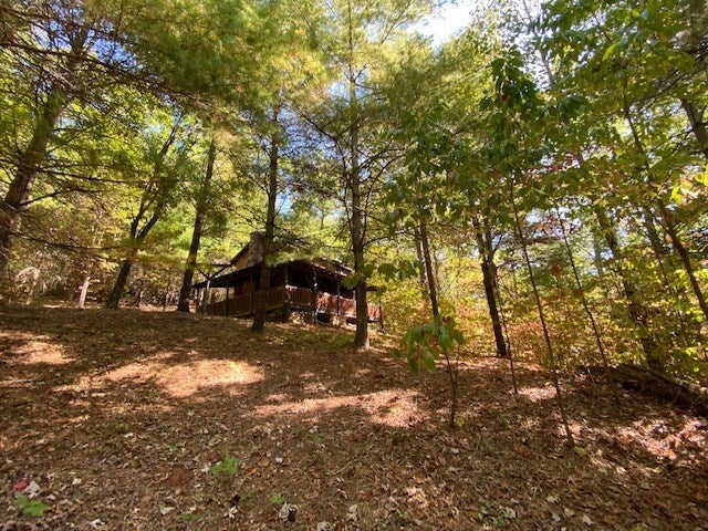 Tbd Tbd Raven Ridge Road Meadowview, VA 24361 - Photo 3 of 8 Gallery Image 3