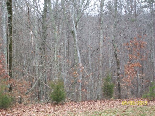 1351 Stony Point Road Knoxville, TN 37914 - Photo 3 of 19 Additional Photo