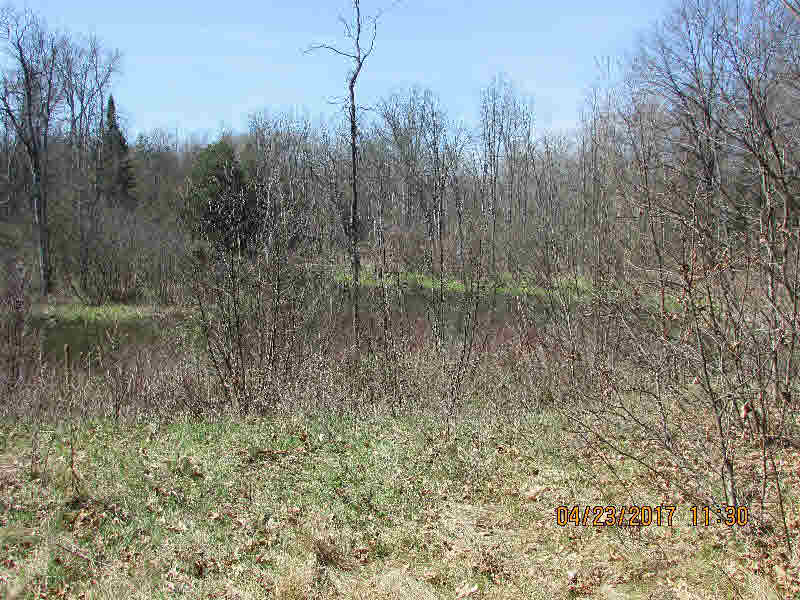 Nhn Gallagher Road West Branch, MI 48661 - Photo 4 of 8 Gallery Image 4
