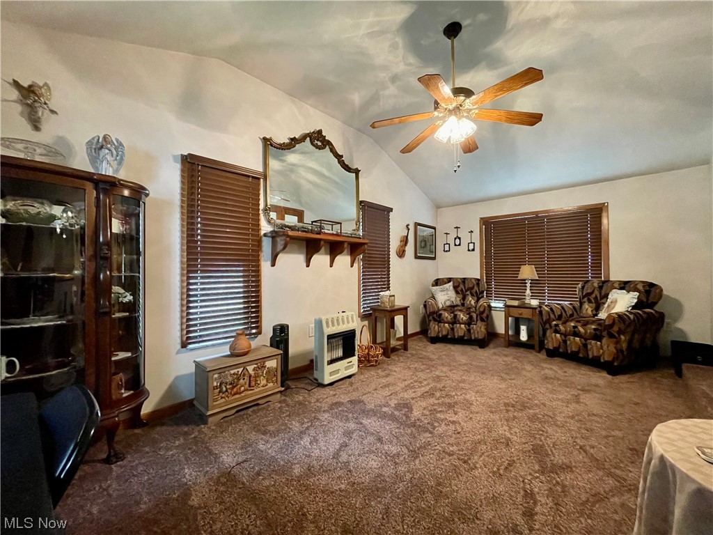 66119 Highway 124 Reedsville, OH 45772 - Photo 8 of 29 Living room featuring lofted ceiling, dark carpet, and ceiling fan