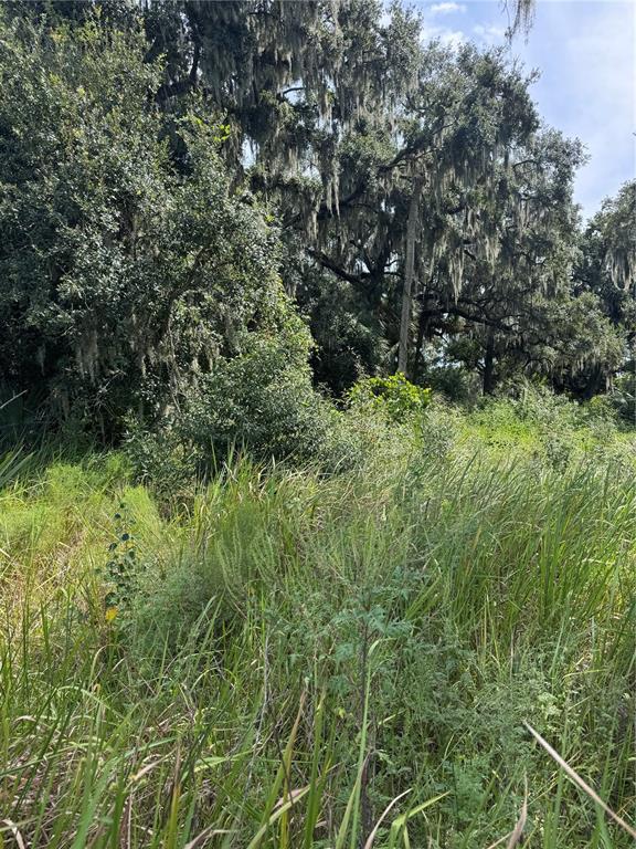 0 Medulla Road Lakeland, FL 33811 - Photo 3 of 7 Gallery Image 3