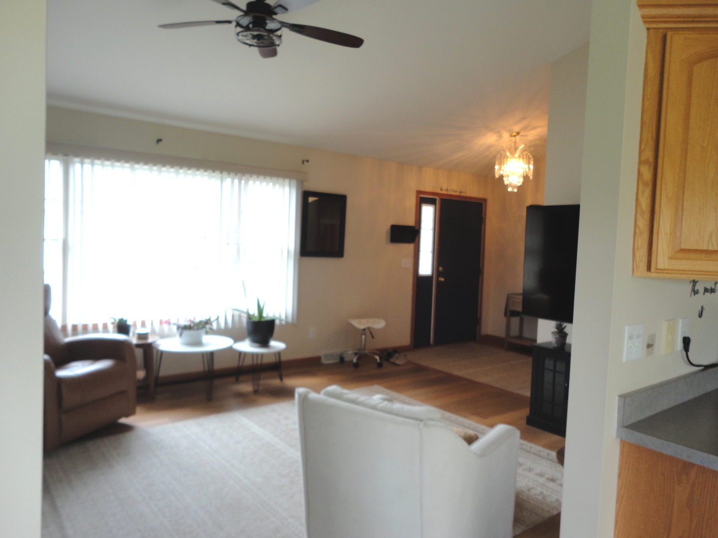 144 Winding Trail Diamond, IL 60416 - Photo 4 of 21