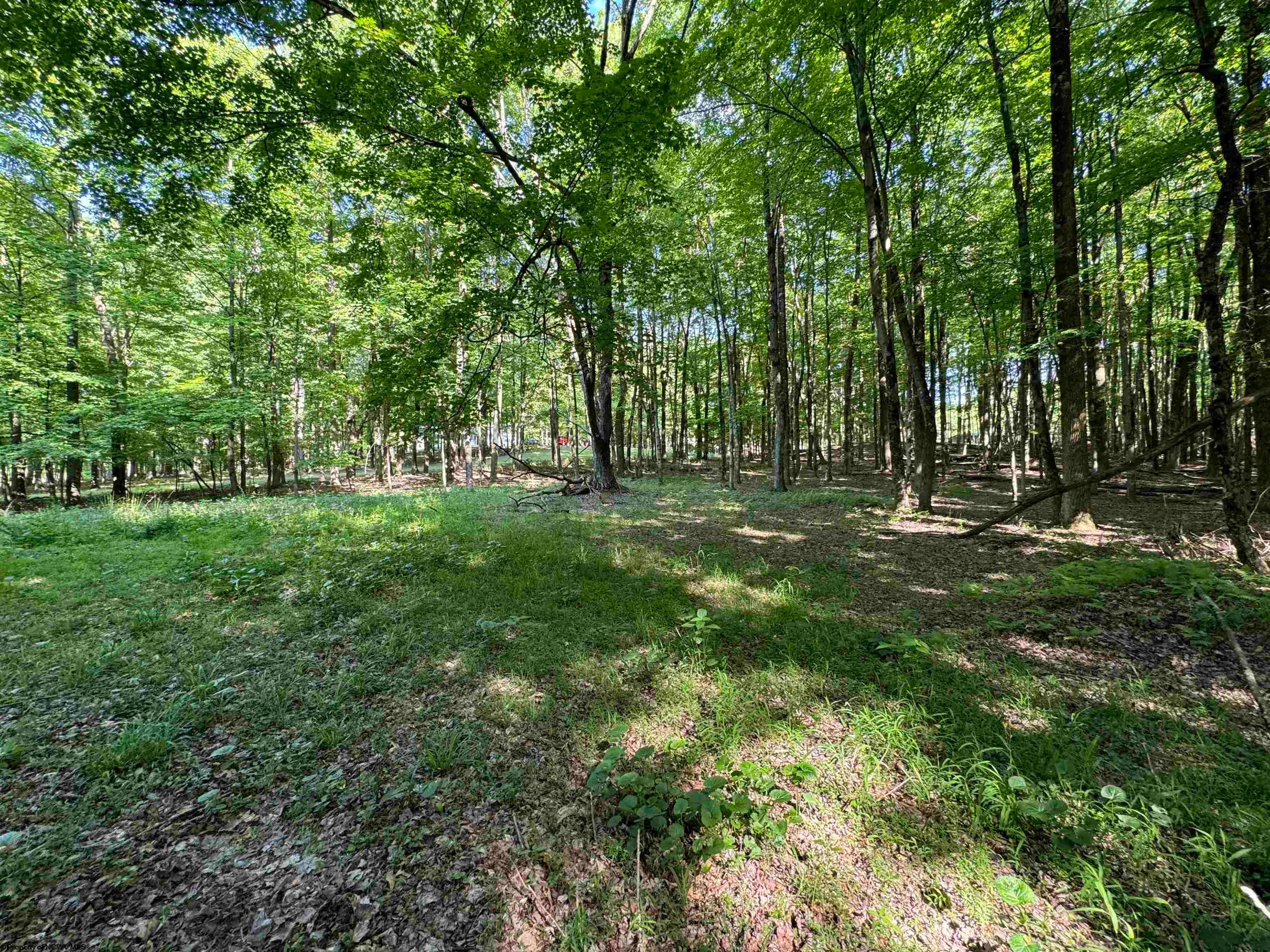 8 North Bunner Ridge Fairmont, WV 26554 - Photo 3 of 10 Gallery Image 3