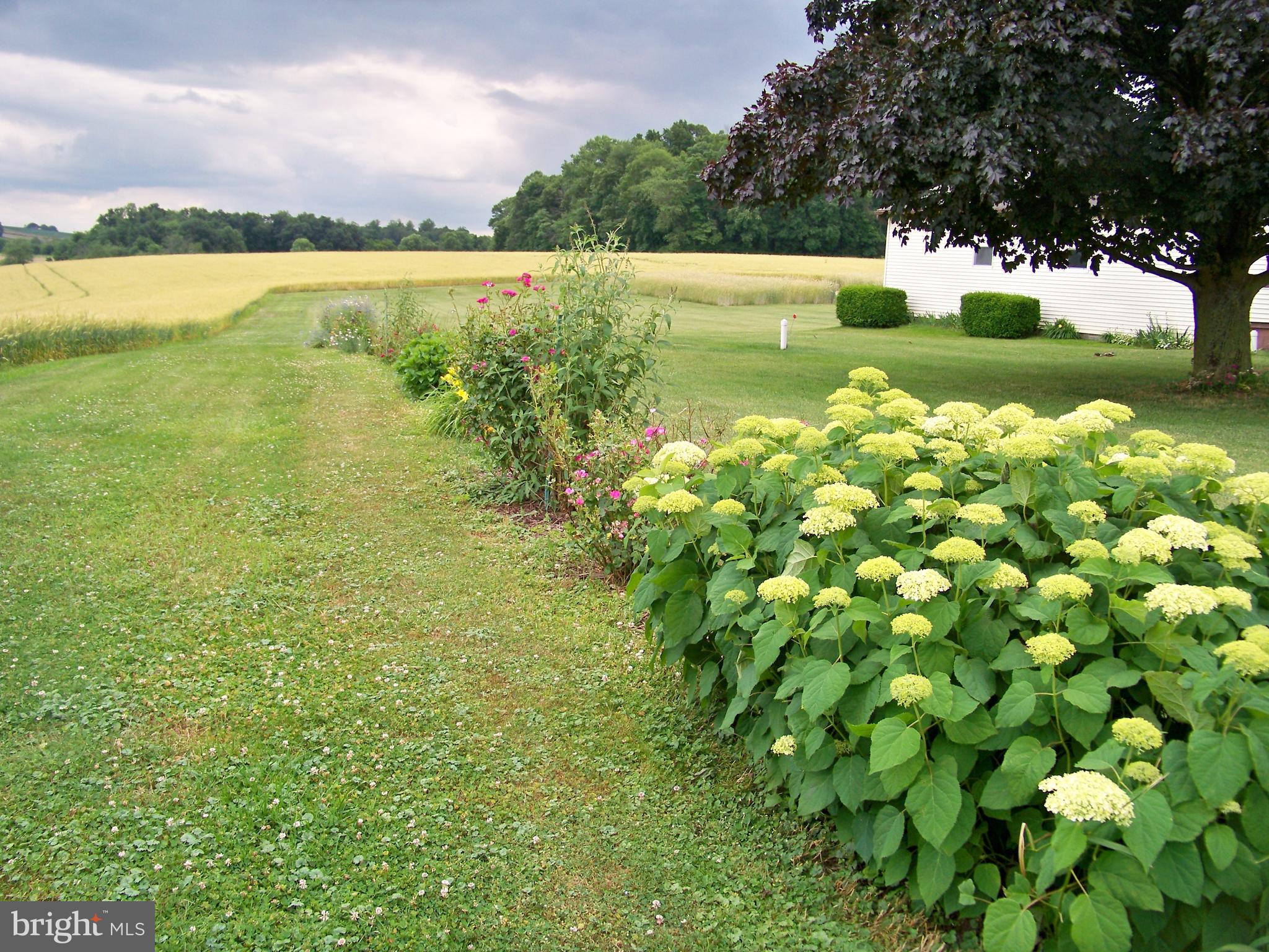 445 Hopkins Mill Road Quarryville, PA 17566 - Photo 7 of 9 Gallery Image 7