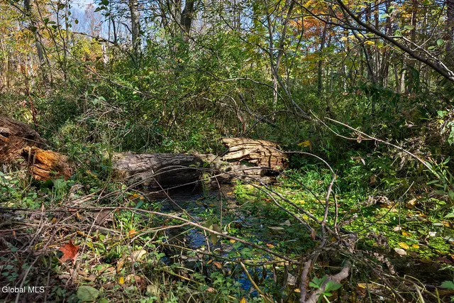 $259,000 | 33 South Union Street, White Creek, NY 12816