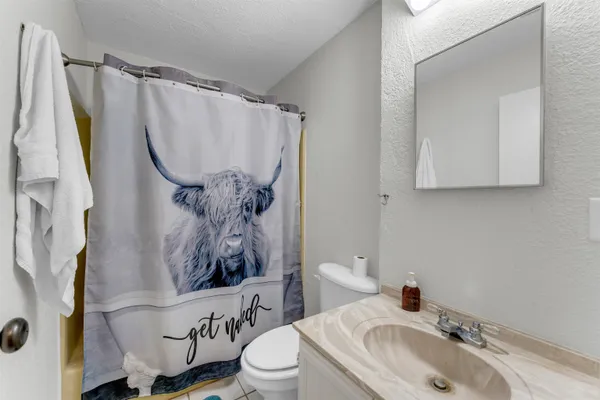 a park view with a bench under large trees