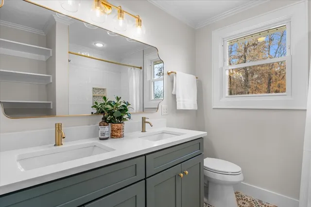 a bathroom with a sink a mirror and a toilet