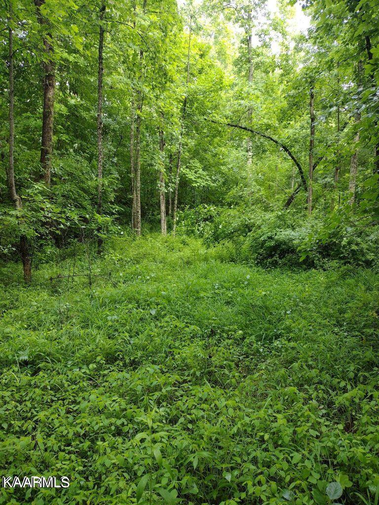 8 Pilot Mtn Road Lancing, TN 37770 - Photo 2 of 14 1