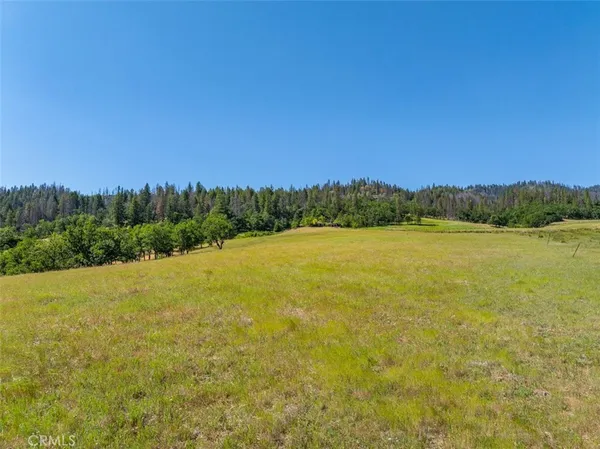 $625,000 | 125 Cedar Gulch Road, Hayfork, CA 96041