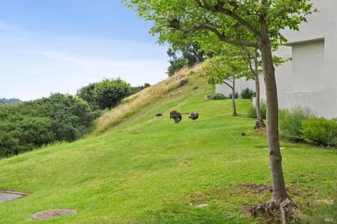 $2,050,000 | 121 Red Hill Circle, Tiburon, CA 94920