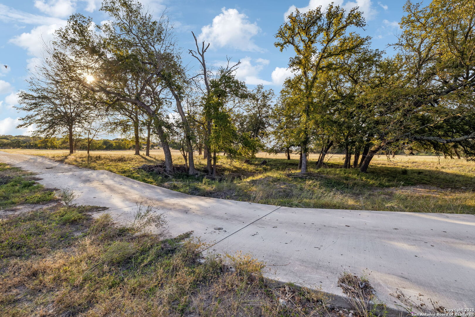 232 Stoneleigh Road Center Point, TX 78010 - Photo 28 of 34 a view of a yard with a tree