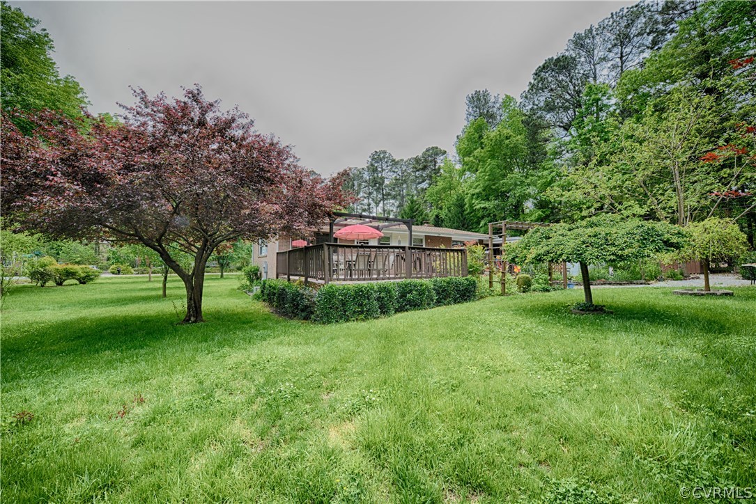 7706 Anoka Road Henrico, VA 23229 - Photo 24 of 26 Gallery Image 24