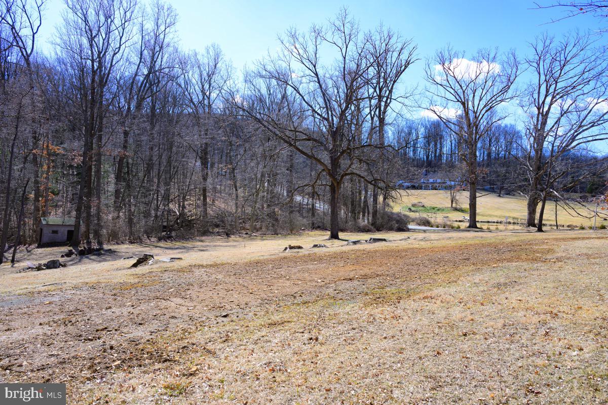 718 Church Road Reading, PA 19607 - Photo 7 of 19 a view of road and trees
