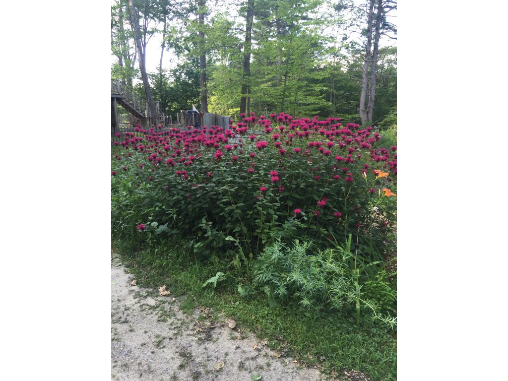 60 Old Granite Road Ossipee, NH 03864 - Photo 12 of 27