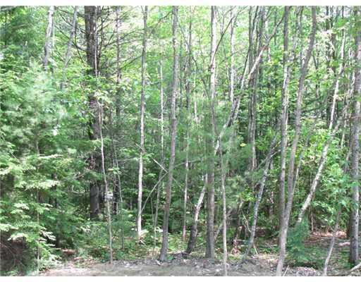 Lot 2 Whitney Road Gray, ME 04039 - Photo 1 of 1 Photo