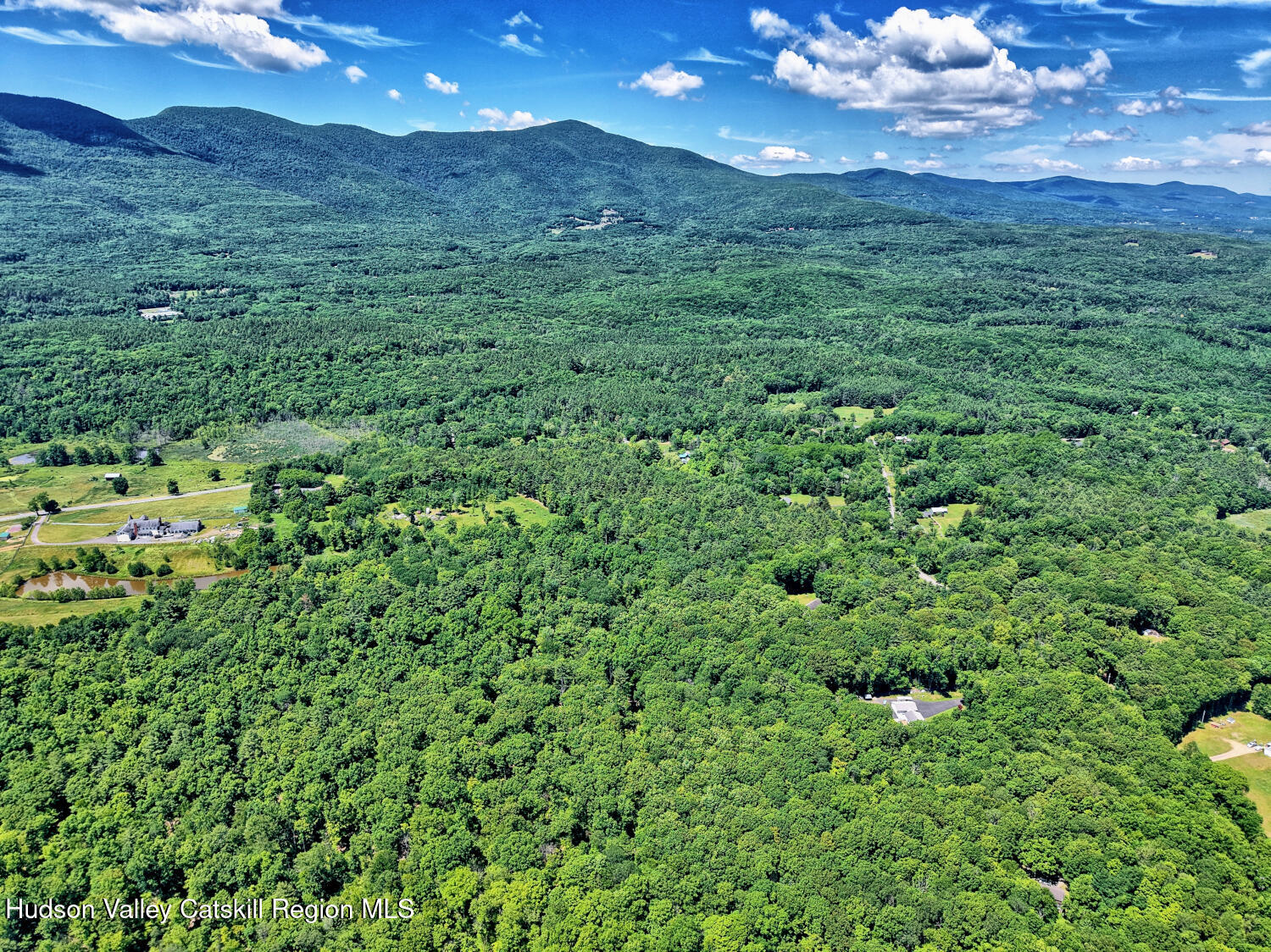 233 Edison Timmerman Road Cairo, NY 12413 - Photo 29 of 93 DJI_20260609113736_0692_D_3_D_4_D_easyHD