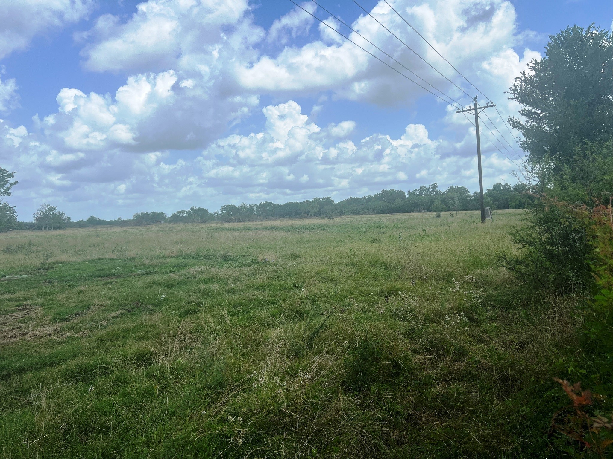 8925 Kerr Road Hempstead, TX 77445 - Photo 2 of 11