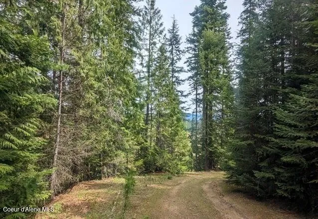 $239,000 | Nka Gold Ridge Road, St. Maries, ID 83861