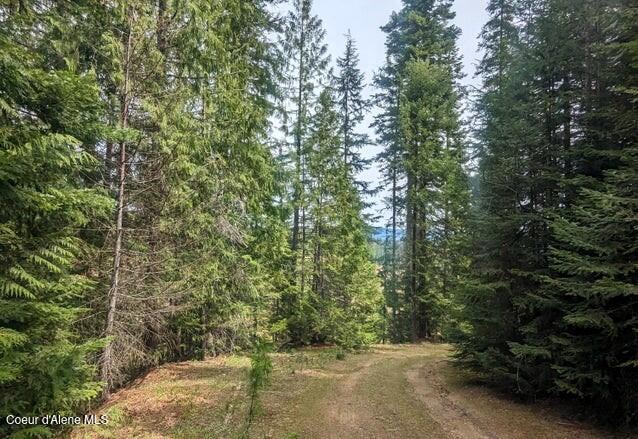 Nka Gold Ridge Road St. Maries, ID 83861 - Photo 11 of 13 Road into property