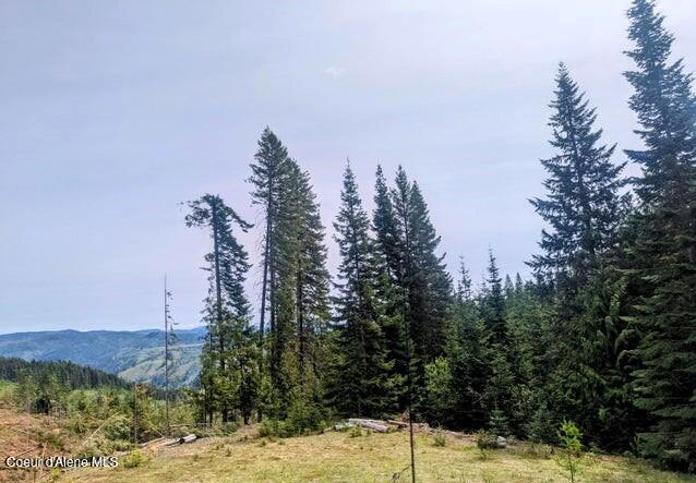 Nka Gold Ridge Road St. Maries, ID 83861 - Photo 12 of 13 Top of ridge-camping spot